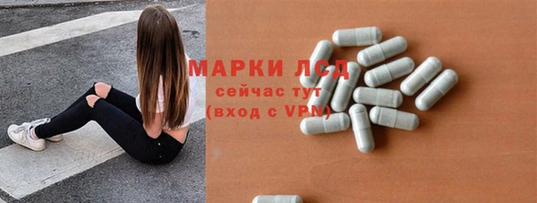 ГАЛЛЮЦИНОГЕННЫЕ ГРИБЫ Гусев