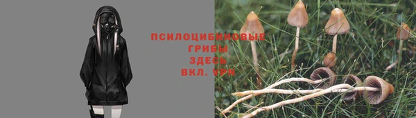 спайс Алзамай