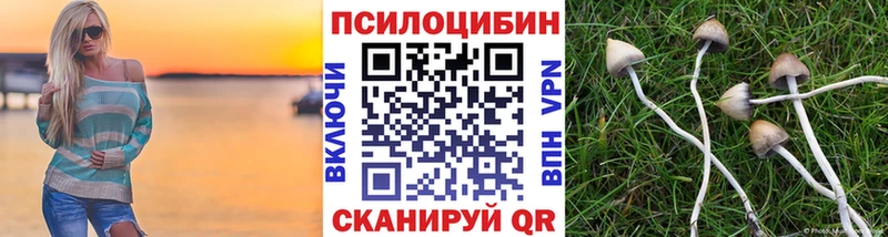 Псилоцибиновые грибы Psilocybine cubensis  Удачный 